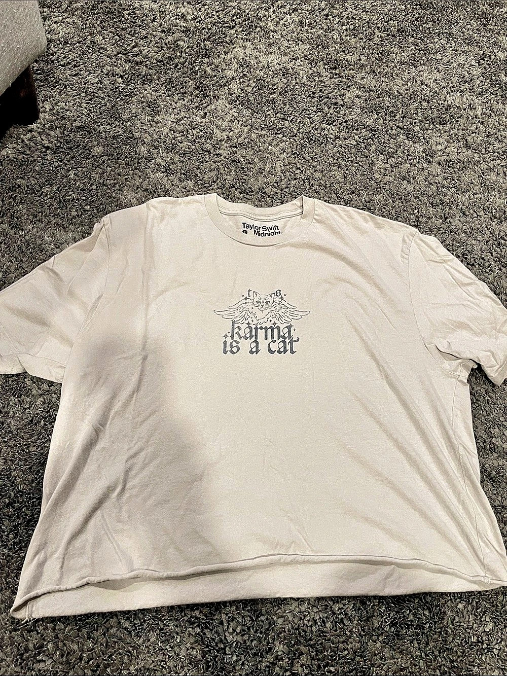 Taylor Swift Karma is a Cat Cropped T-Shirt Cream Large